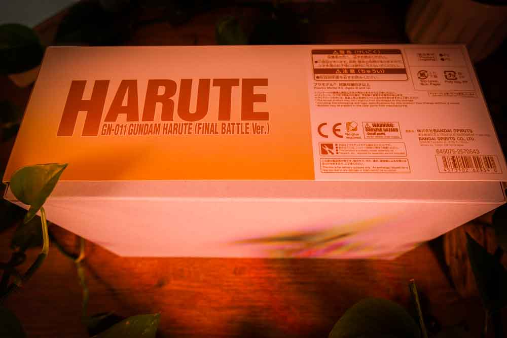 HG 1/144 GN-011 Gundam Harute (Final Battle Ver.) Model Kit