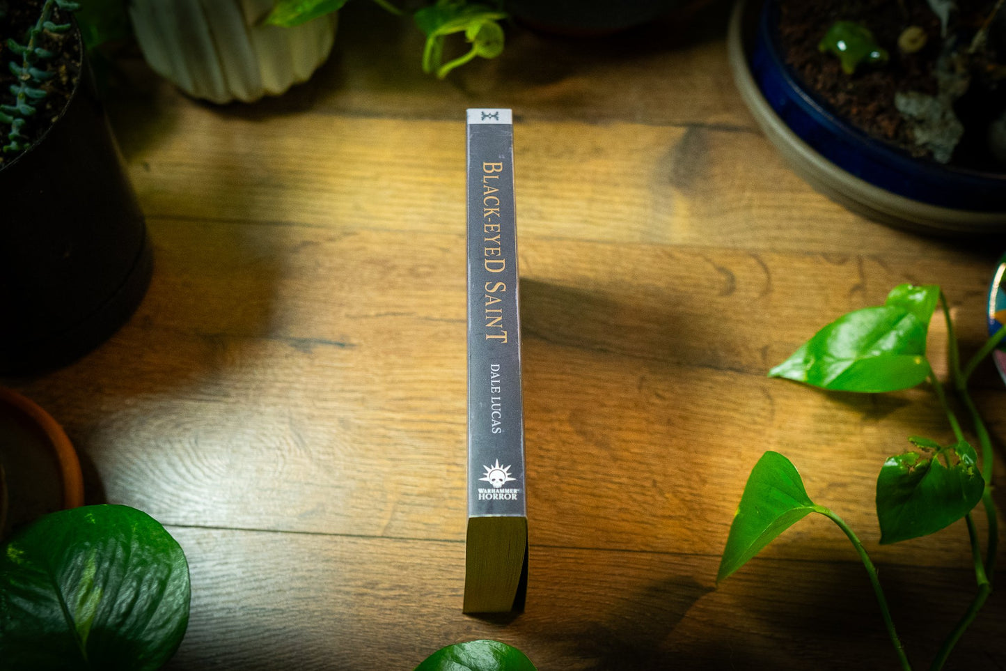 🌑 Black-Eyed Saint by Dale Lucas - Warhammer Horror Epic 🌌