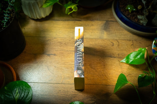 Sigvald by Darius Hinks - Warhammer Fantasy Heroes Epic 9781849700597 🗡️✨