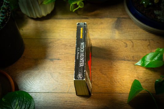 Chasseur de sorcières par CL Werner - Warhammer Fantasy Epic 1844160718 🚀