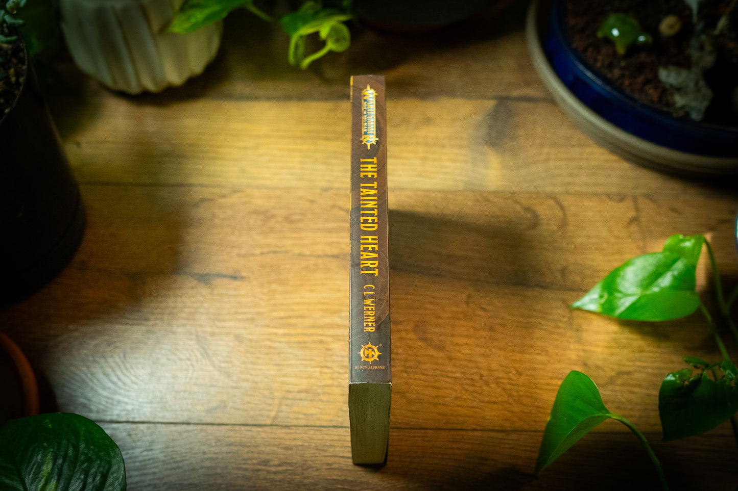 🖤 The Tainted Heart: Age of Sigmar Dark Fantasy Tale 9781784968748 🖤