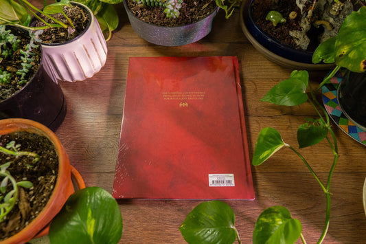 Flesh-eater Courts Limited Edition Battletome 🏰 Age of Sigmar 📚 Рідкісний 9781804573020