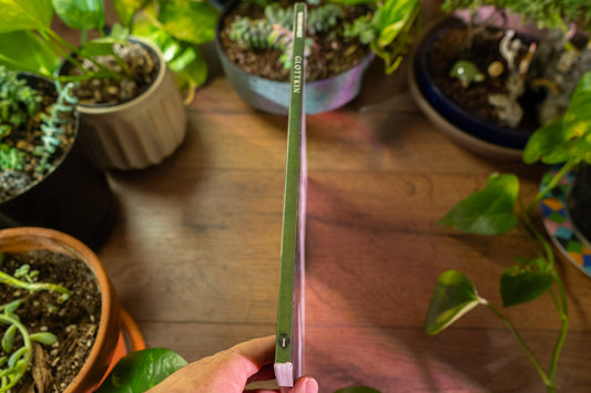 Glottkin : La Fin des Temps Livre Un 🍃 Warhammer Fantasy 📚 Bon état