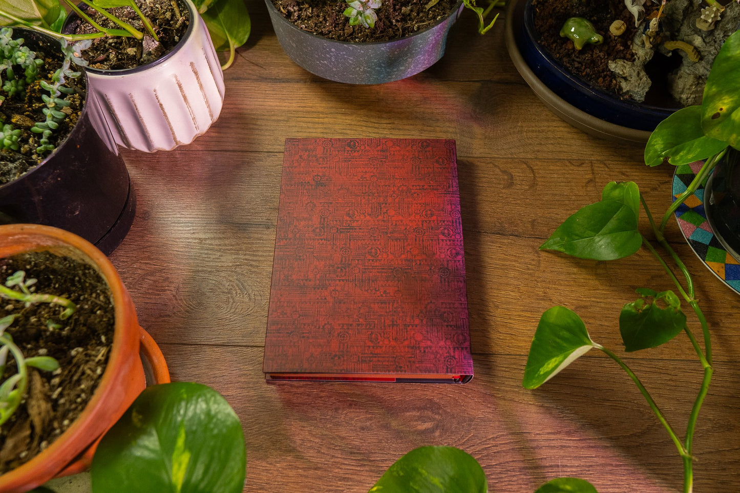 Adeptus Mechanicus: Skitarius - колекційне видання