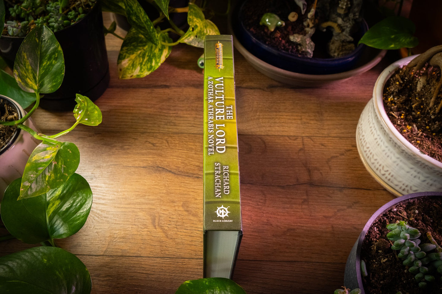 The Vulture Lord Hardcover New Warhammer Age of Sigmar 🌌📚Richard Strachan