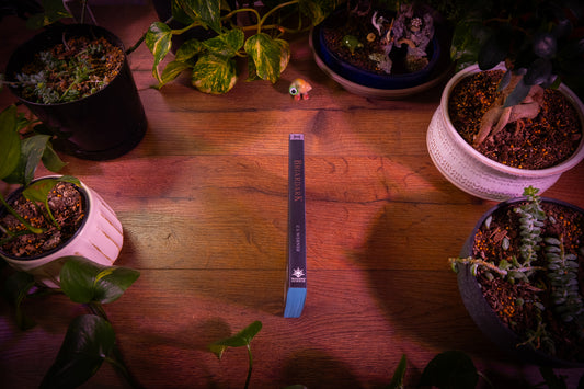 Warhammer Horror - Briardark: Tales of Murghast Vol 2 Paperback