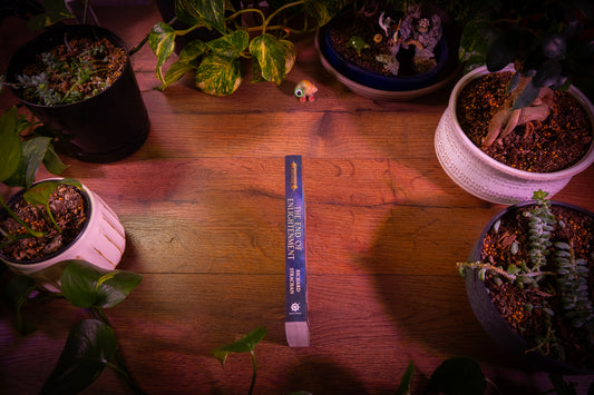 Warhammer AoS - The End of Enlightenment Paperback