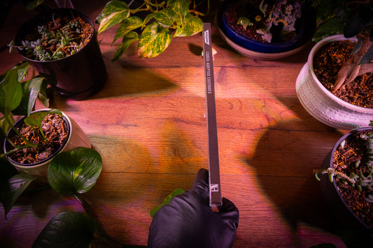 Warhammer 40k - Adeptus Custodes 10th Collector's Edition Codex