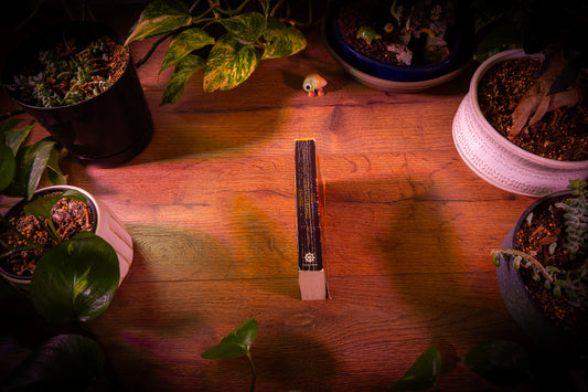 The Horus Heresy - The Unremembered Empire Paperback