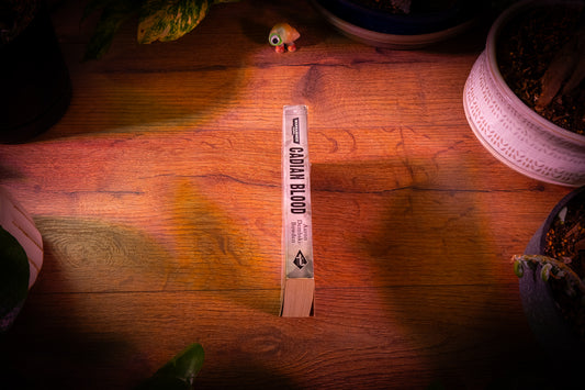 Warhammer 40k - Cadian Blood (livre de poche)