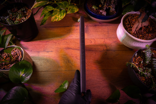 Warhammer 40k - Chaos Daemons Collector's 6ème édition - Couverture Slaanesh