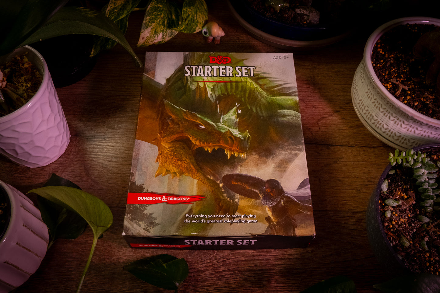 Dungeons & Dragons Starter Set: Fantasy Roleplaying Game - 5th Edition