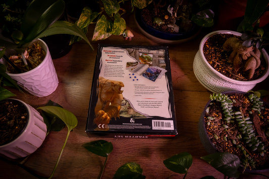 Стартовий набір Dungeons & Dragons: фентезійна рольова гра - 5-е видання