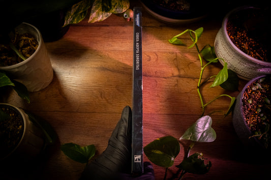 Warhammer 40k - Codex: Adepta Sororitas - 9th Edition