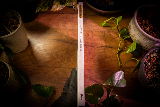 Warhammer Age of Sigmar - Battletome: Slaves to Darkness - 2nd Edition