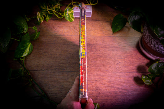 Advanced Dungeons & Dragons - Dungeon Masters Guide - 1st Edition - TSR Hobbies