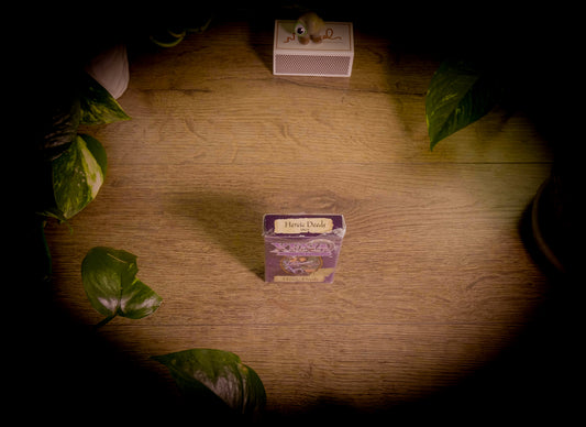 WOTC - Jeu de cartes à collectionner Xena Warrior Princess – Pack d'actes héroïques