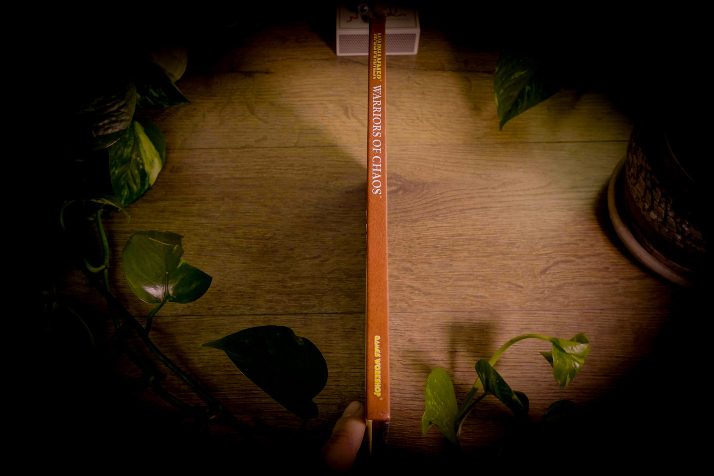 Warhamer Fantasy Battles - Warriors of Chaos Army Book - 8th Edition