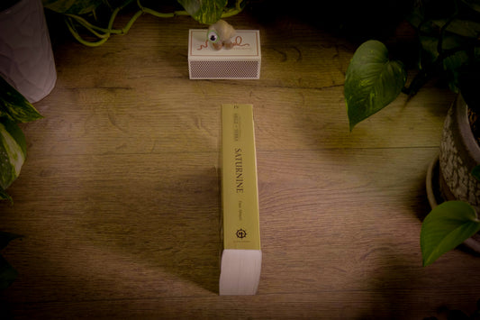 The Horus Heresy - Siege of Terra - Saturnine - Book 4 - 2022