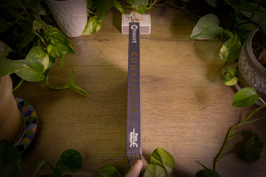 Parabellum Wargames - Conquest Companion 1.5 Edition