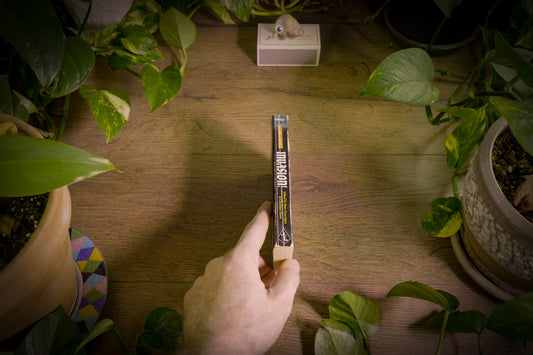 Warhammer Fantasy Battles - Anthologie Invasion ! - 2007