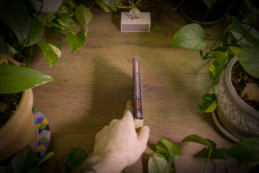 Warhammer Fantasy Battles - Forgés au combat - Série Ragged Company 2005