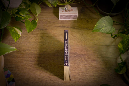 Warhammer Fantasy Battles- The Ambassador - 2003