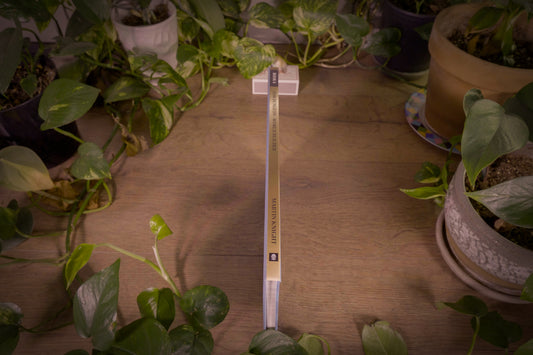 Martin Knight Games - D100 Dungeon – World Builder - Book 6 - 2021