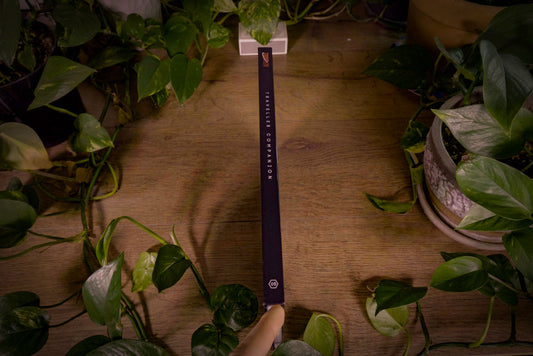 Traveller RPG - Traveller Companion  - 2019