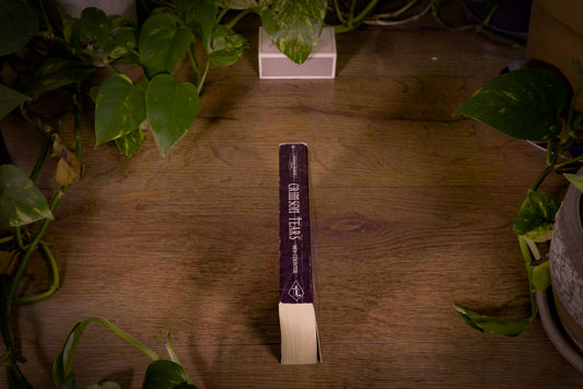 Warhammer 40k  - Crimson Tears - Soul Drinkers Book 3 - 2005