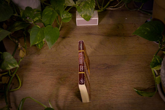 Warhammer 40k – Blood Angels: Deus Encarmine - 2005