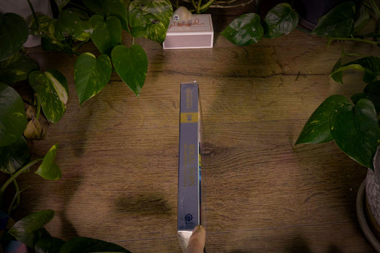 Horus Heresy Primarchs - Rogal Dorn: The Emperor’s Crusader