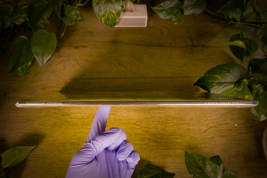 Warhammer 40k - Insignium Astartes: The Uniforms & Regalia of the Space Marines - 2002