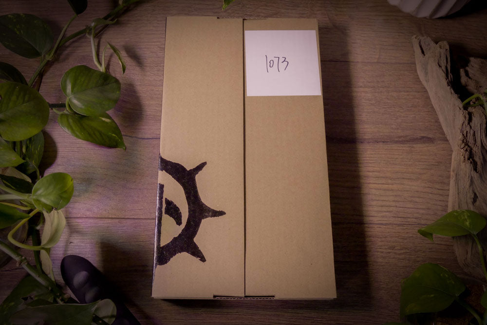 Warhammer Age of Sigmar – Shade of Khaine Collector’s Edition - 2025