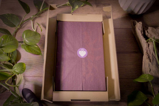 Warhammer Age of Sigmar – Shade of Khaine Collector’s Edition - 2025