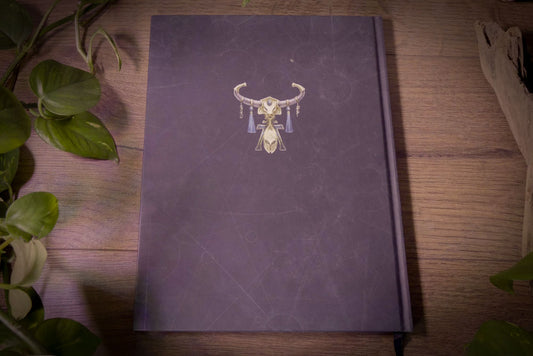 Warhammer Age of Sigmar - Battletome: Lumineth Realm‑lords - Launch Special Edition - 2020