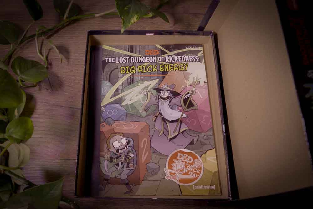 Dungeons & Dragons vs. Rick & Morty (5E • Boxed Set, 2019)