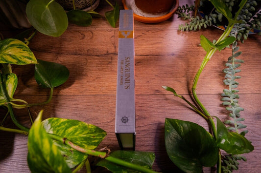 Primarques de l'Hérésie d'Horus : Sanguinius les Grands Anges