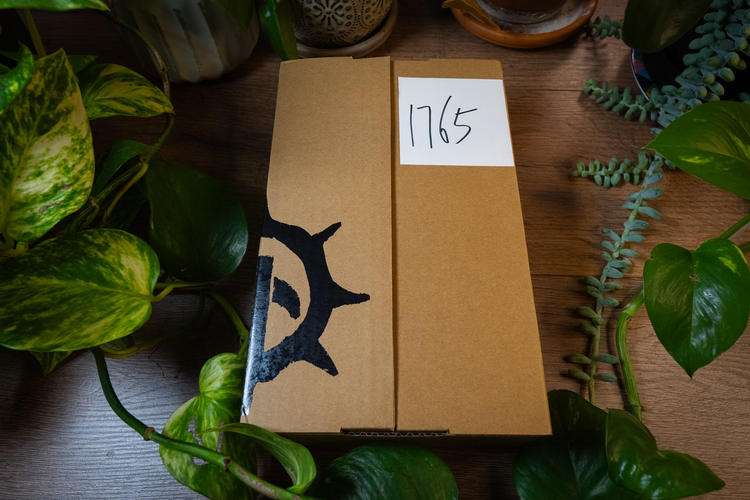 Black Library Collector's Editions