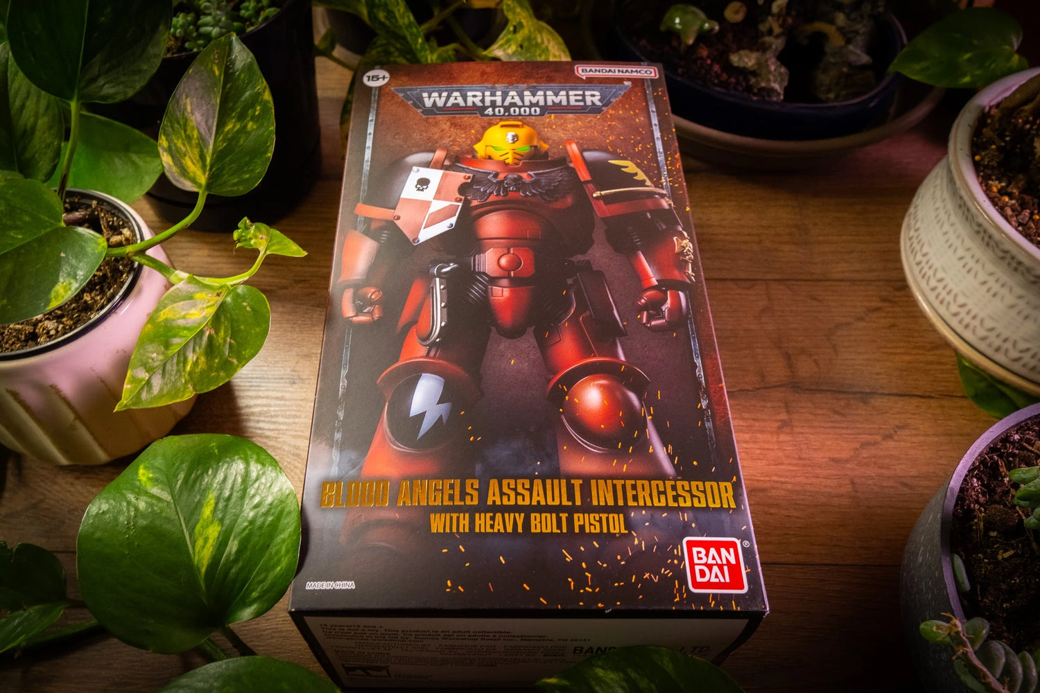 Blood Angels Collection