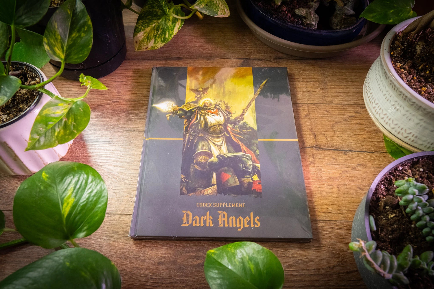 Dark Angels Collection