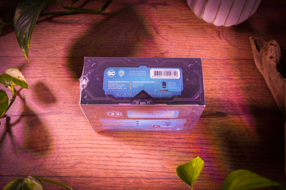 Batman & Rookie Two-Pack Miniatures Box Set (DC Universe Miniatures, Sealed Box)