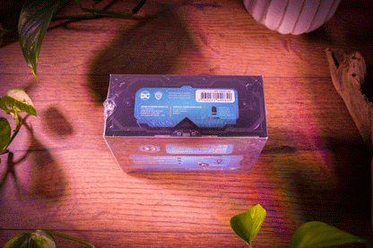 Batman & Rookie Two-Pack Miniatures Box Set (DC Universe Miniatures, Sealed Box)