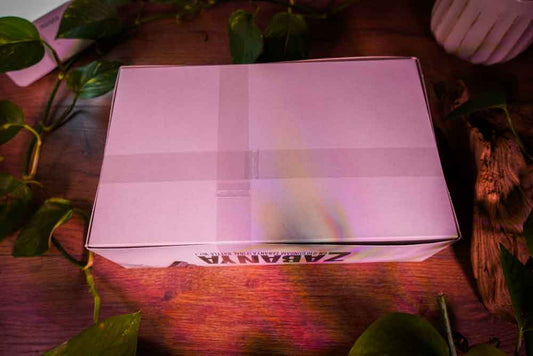 HG 1/144 GN-010 Gundam Zabanya (Final Battle Ver.) Model Kit