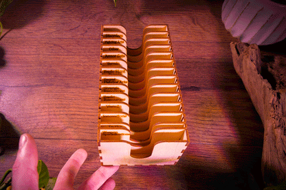 Kingdom Death: Monster – Laser-Cut Wood Settlement & Hunt Card Organizer Tray (Kickstarter Backer Accessory)