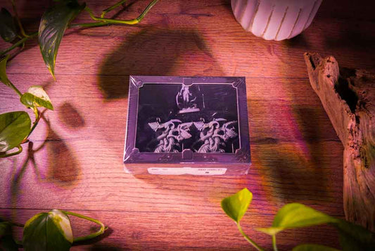 Poison Ivy Expansion Set (DC Miniature Game • Knight Models, Sealed)