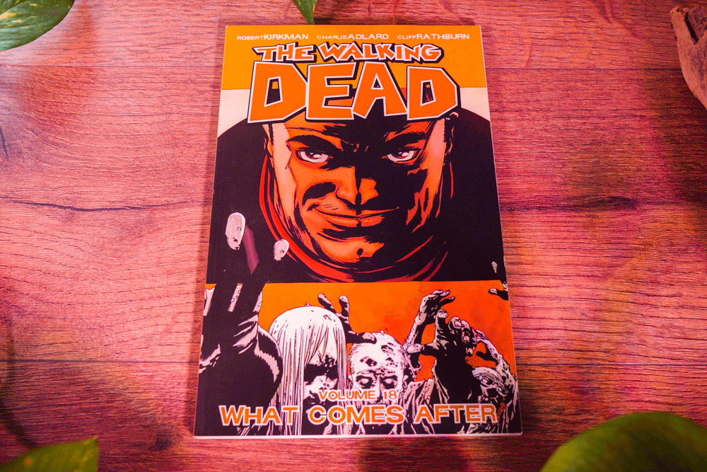 The Walking Dead – Trade Paperback Series Multi Listing (Robert Kirkman • Image Comics)