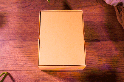 Kingdom Death: Monster – White Speaker (Kraft Box • Kingdom Death)