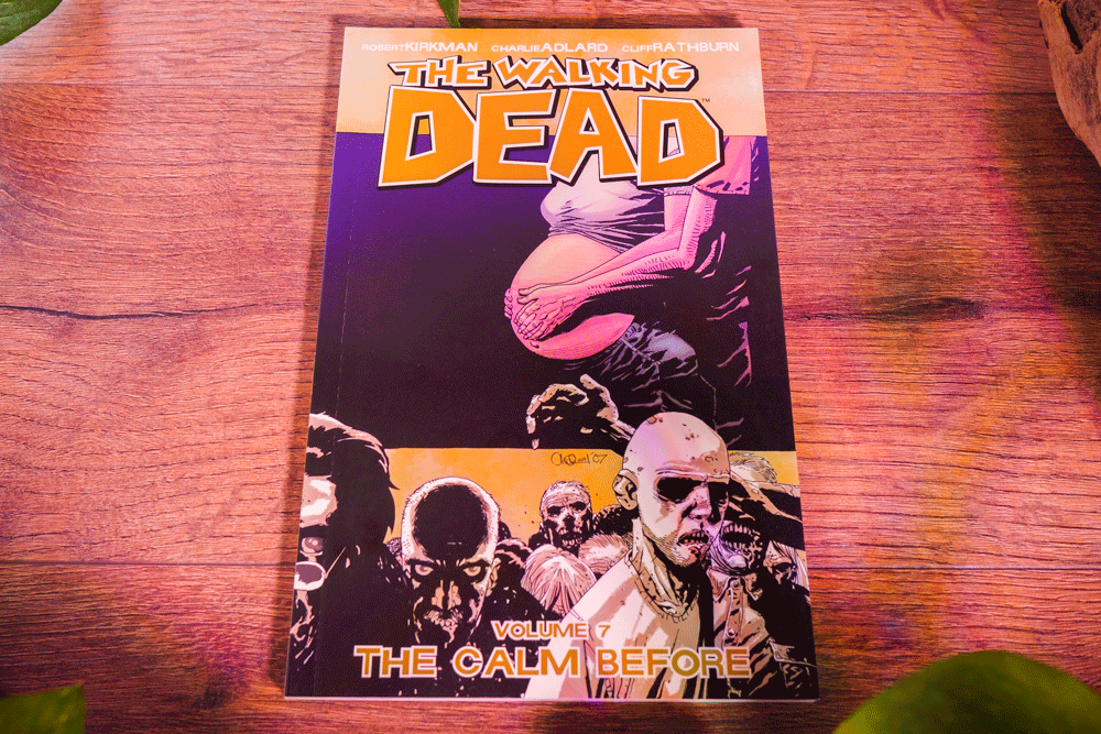 The Walking Dead – Trade Paperback Series Multi Listing (Robert Kirkman • Image Comics)