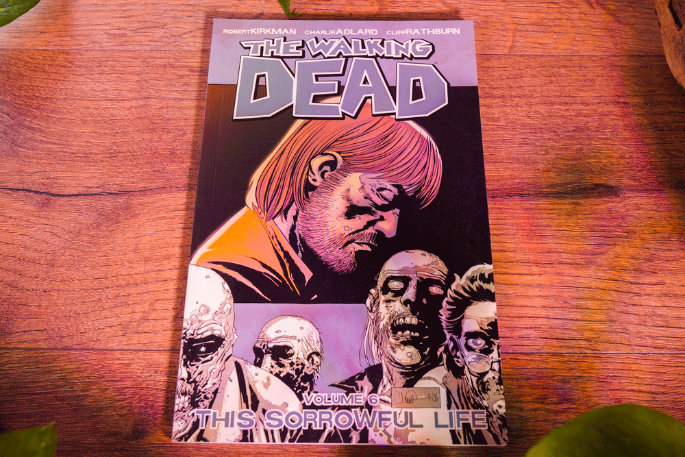 The Walking Dead – Trade Paperback Series Multi Listing (Robert Kirkman • Image Comics)